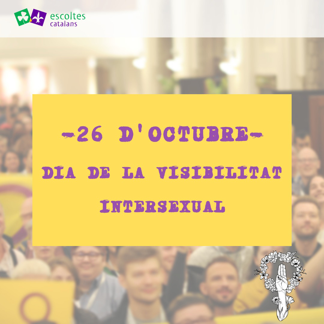 Dia intersexualitat